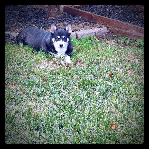 Not selling - Picture 1 of 1